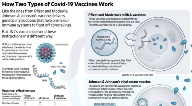 COVID-19 INFOGRAPHIC: ‘MRNA & VIRAL VECTOR VACCINE’ DIFFERENCES