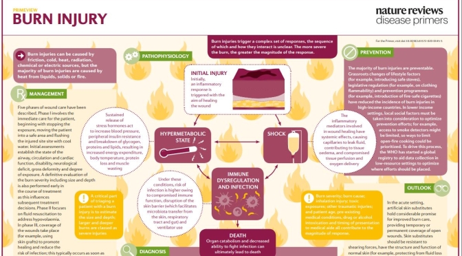 Infographic: How Bodies React To Burn Injuries