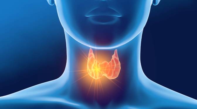 Medical Screening: The Thyroid Function Test