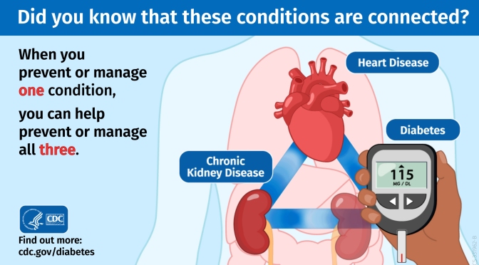 Conditions: How Chronic Kidney Disease, Diabetes & Heart Disease Are Linked